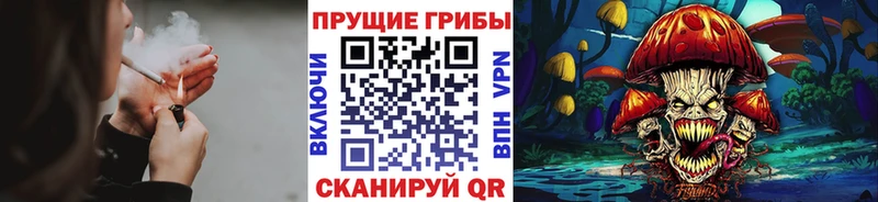 mega сайт  Югорск  Псилоцибиновые грибы Psilocybe 